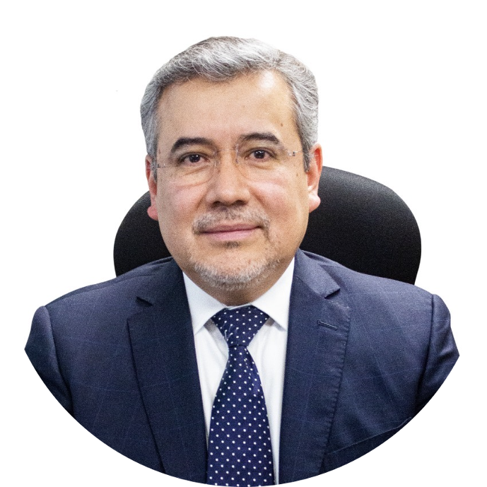 PEDRO GAMIZ SUAREZ