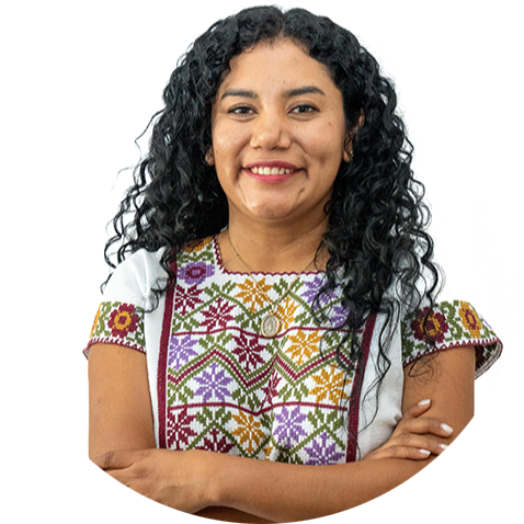 LII YIO PEREZ ZARATE