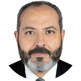 NELSSON PEDRAZA SOTELO