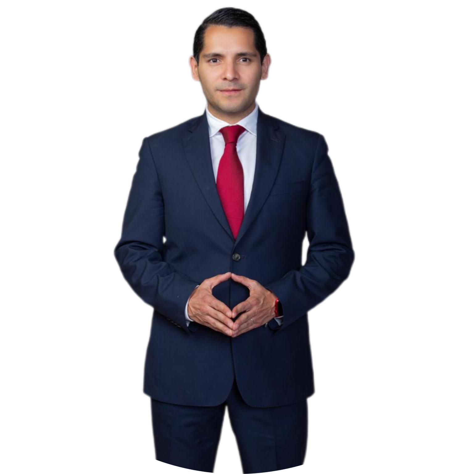 JUAN JOSE PULIDO ROGEL