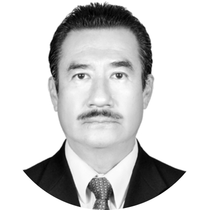 MARIO VASQUEZ GARCIA