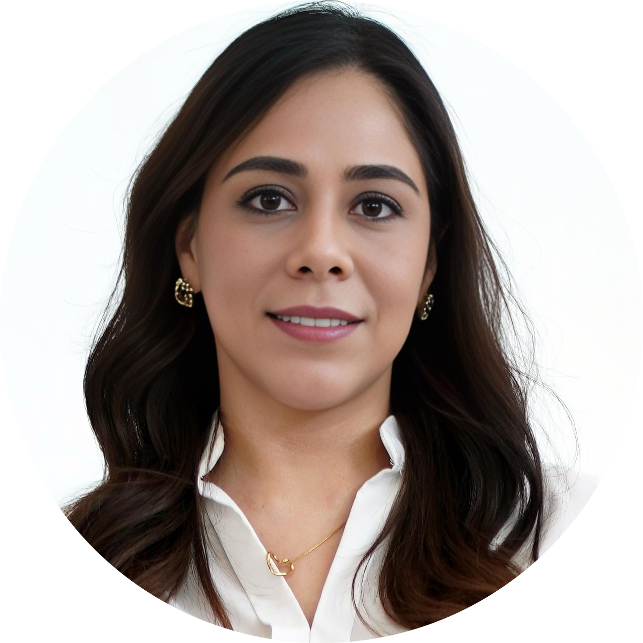 SARA VERONICA SILLER MORQUECHO